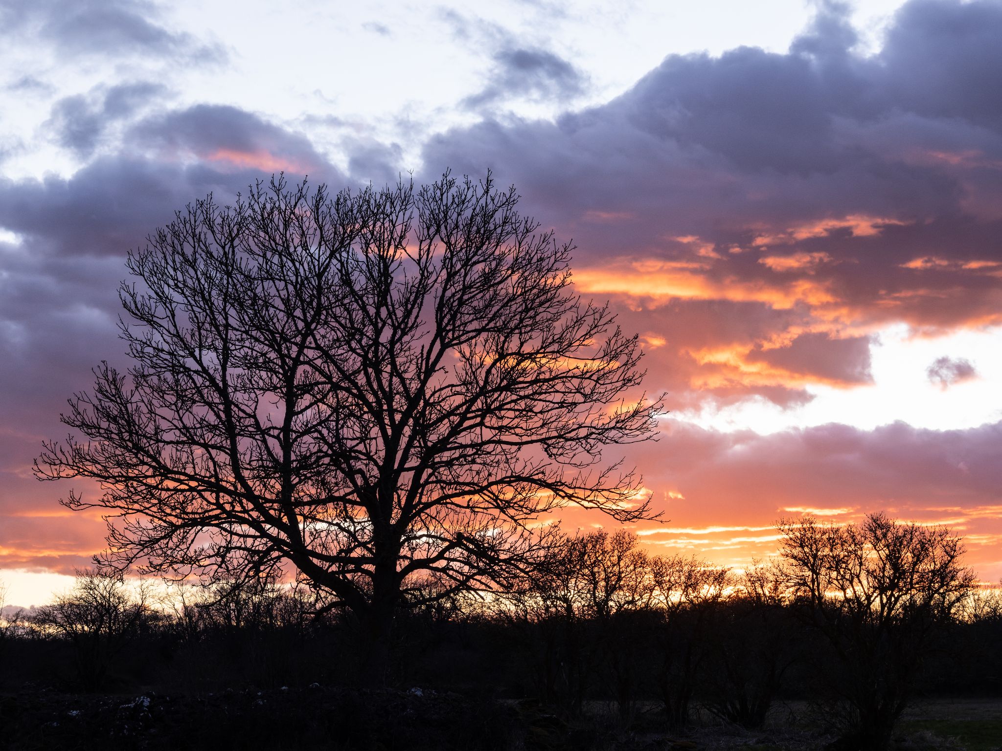 001 260406 1943 J  2JR0015 DxO DeepPRIME 3